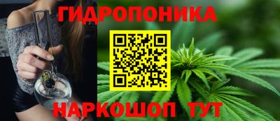 ALPHA PVP Кингисепп