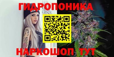 спиды Кинель