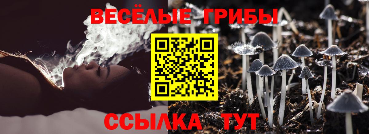 Галлюциногенные грибы прущие грибы Стрежевой